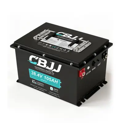CBJJ ZW28 Golf Cart Battery 38.4V 105Ah LiFePO4 - T-Type Case